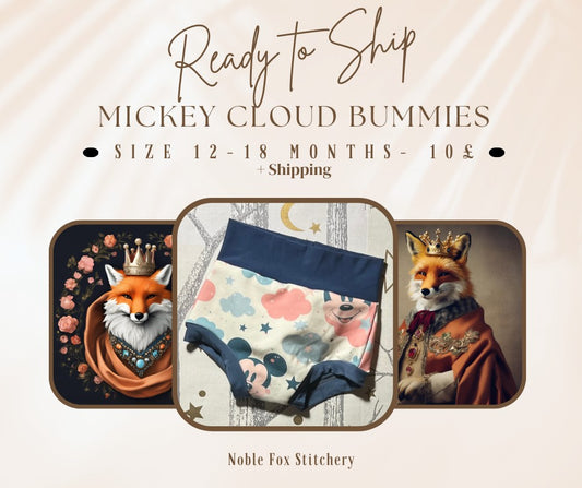 RTS 12-18M Mickey Clouds Bummies